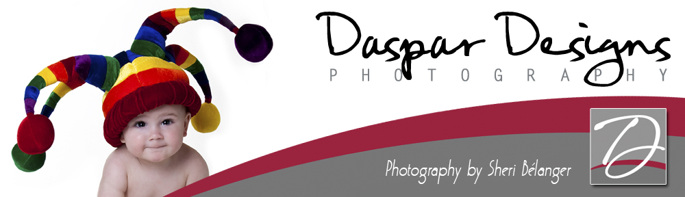 Daspar Designs: Photography by Sheri Belanger